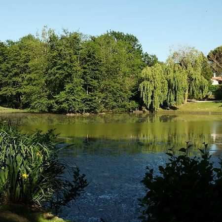 Residence Saint Clair Balma Dış mekan fotoğraf